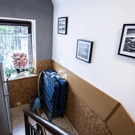 Darija Scisle Centrum *