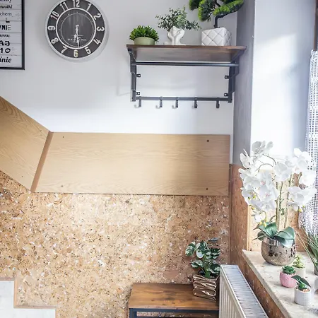 Darija Scisle Centrum * Закопане