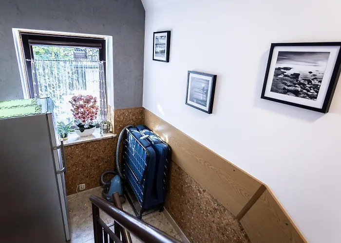 Darija Scisle Centrum *