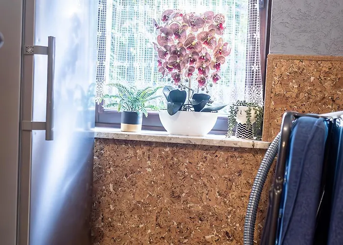 Darija Scisle Centrum ホームステイ ザコパネ