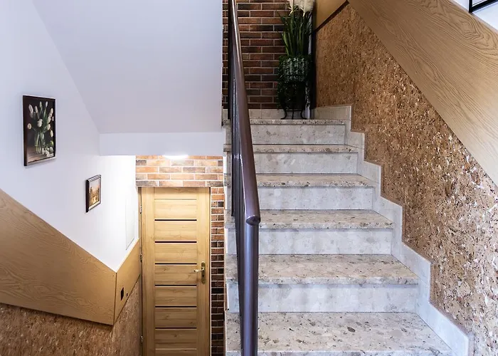 Darija Scisle Centrum *