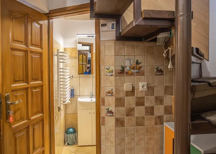 ホームステイ Darija Scisle Centrum ザコパネ