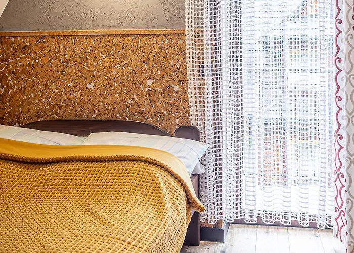 ホームステイ Darija Scisle Centrum ザコパネ