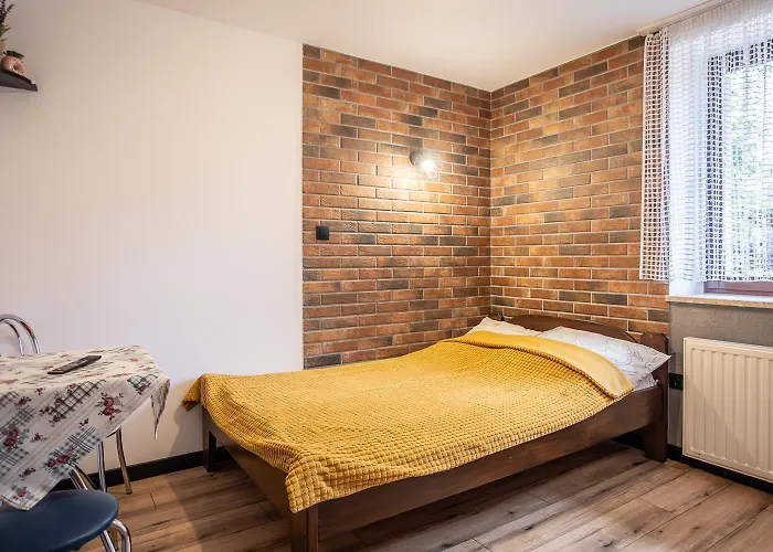 ホームステイ Darija Scisle Centrum ザコパネ