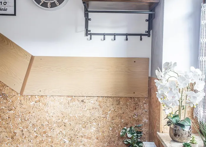 Darija Scisle Centrum * ザコパネ